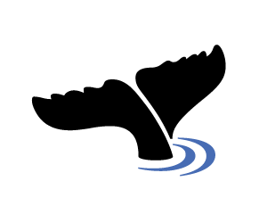 Ocean Bright Consulting logo icon blue and black